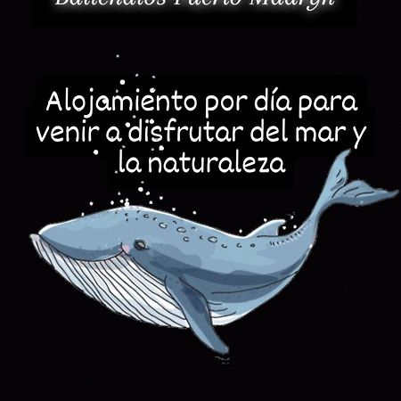 Ballenatos Madryn ปูแอร์โตมาดริน ภายนอก รูปภาพ