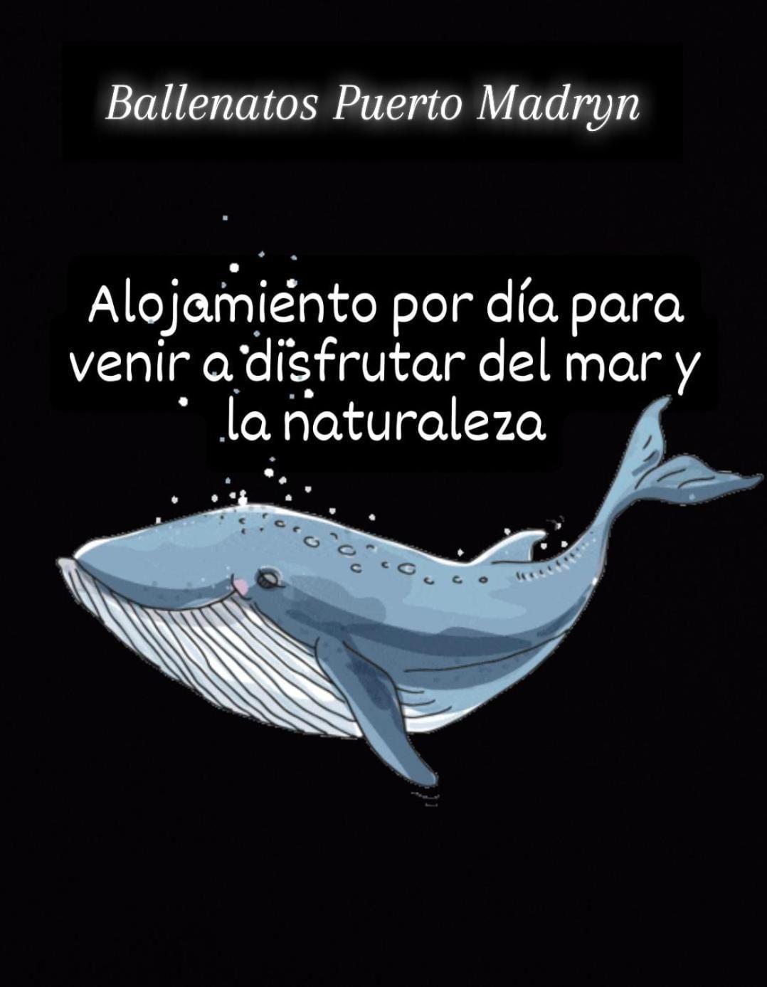 Ballenatos Madryn ปูแอร์โตมาดริน ภายนอก รูปภาพ